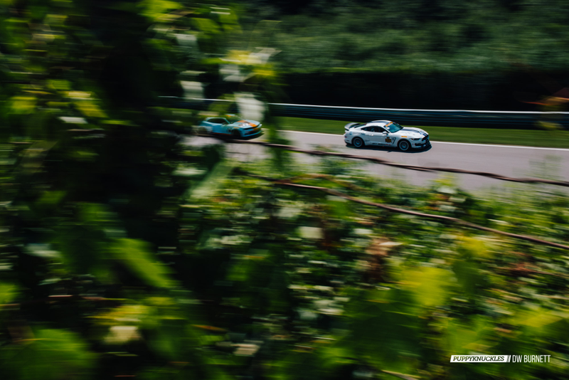 Illustration for article titled Crazy Fast Shelby Mustang GT350R-Cs Dominate Lime Rock